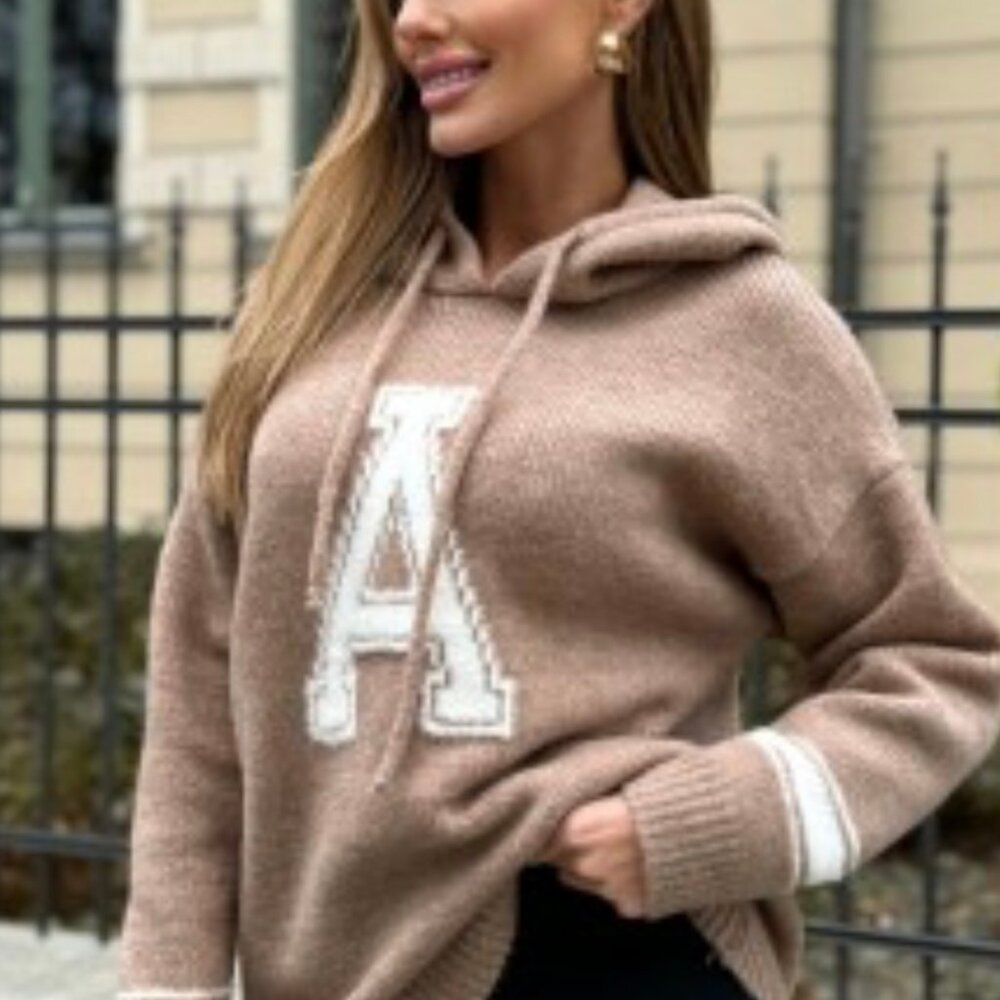 ALI HOODED SWEATER $35